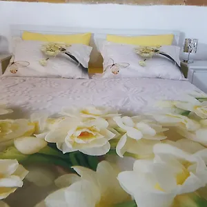 B&bittle Roma